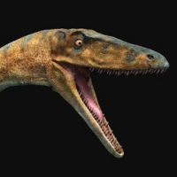 Coelophysis