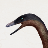 Tochisaurus