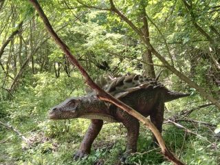 Hungarosaurus