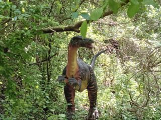 Iguanodon