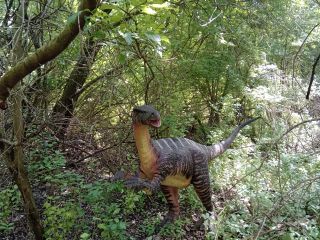 Iguanodon