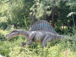 Spinosaurus