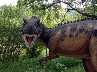 T-Rex